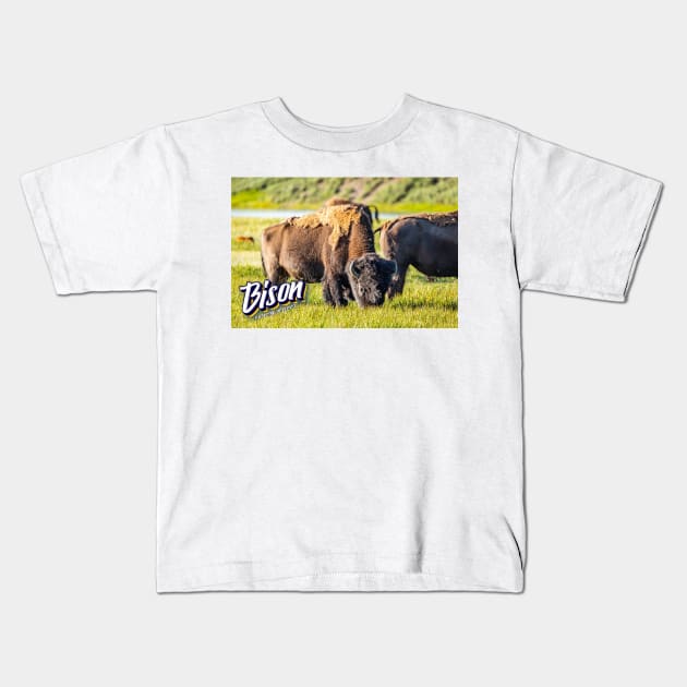 Bison at Yellowstone Kids T-Shirt by Gestalt Imagery
